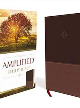 510FQ30L7KL._SY443_BO1,204,203,200_